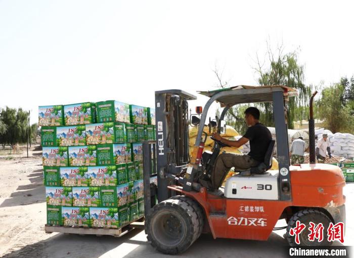 已装箱准备外运的阿拉尔核桃(资料图)。新疆兵团第一师融媒体中心供图