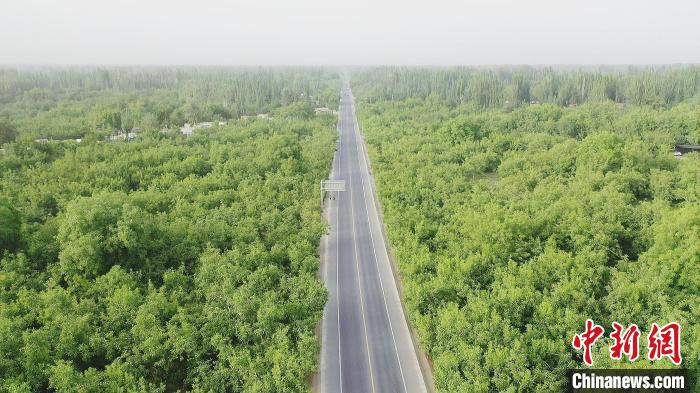 墨玉县是地理标志产品“和田薄皮核桃”的核心产区。　阿卜杜麦吉提·麦麦提伊敏 摄