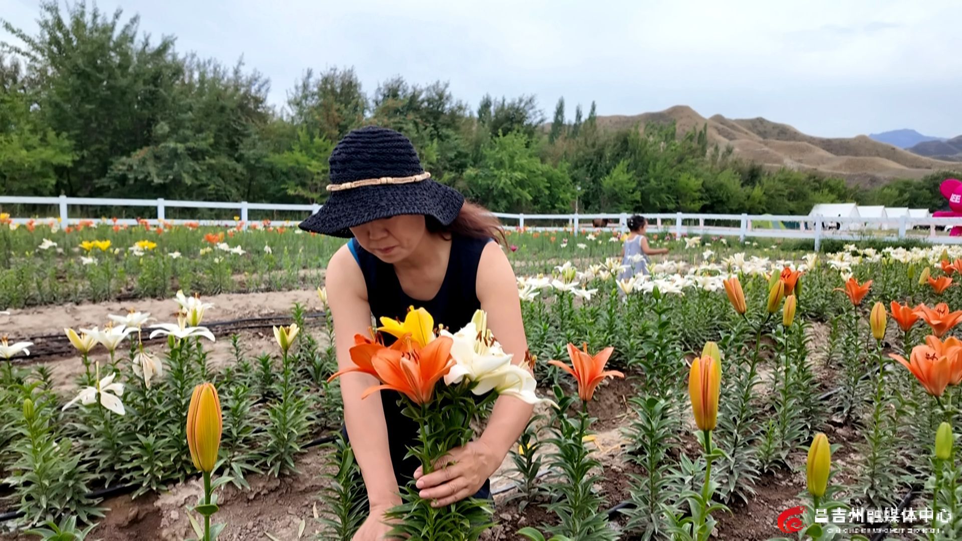 2025-7-25【标题】花海为媒 玛纳斯南部山区乡村游焕发新活力(6)_副本.jpg