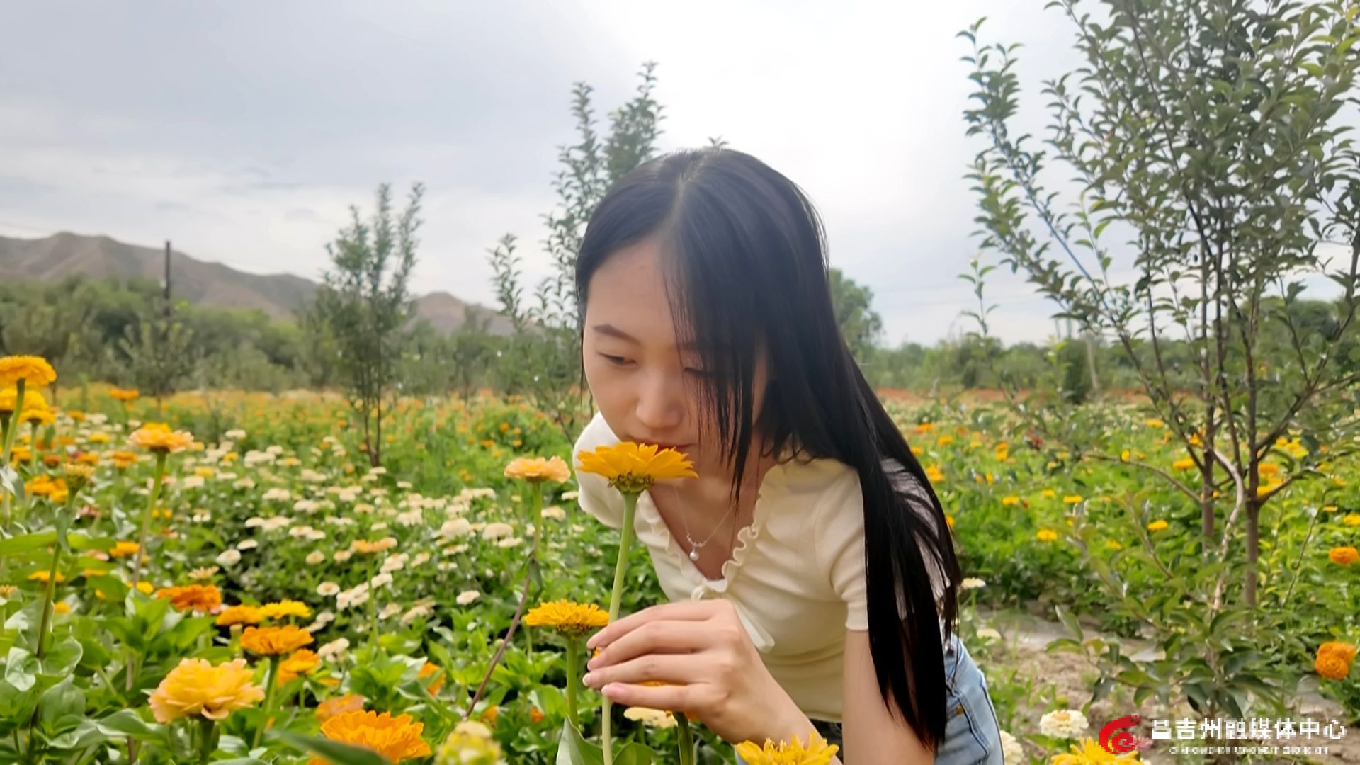 2025-7-25【标题】花海为媒 玛纳斯南部山区乡村游焕发新活力(12)_副本.jpg