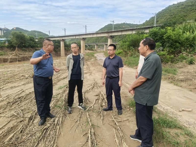 202508291756467587263354.png 2.png