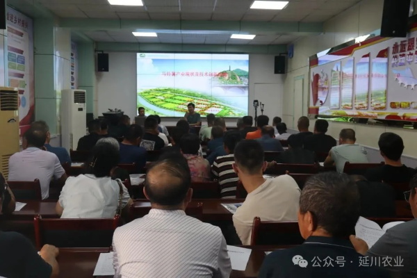 202508291756467956136600.jpg 1.jpg