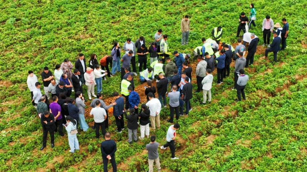 202509011756694941104136.jpg 2.jpg