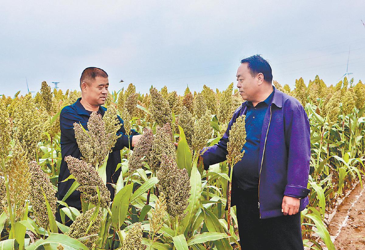 202509131757723389476792.jpg 1.jpg