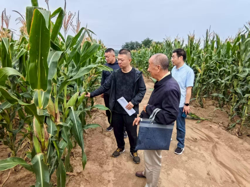 202509131757724083978714.png 1.png