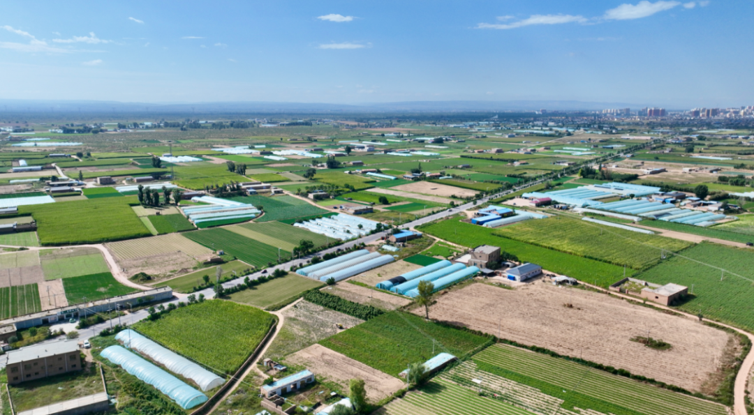 202509151757935286106150.png 2.png