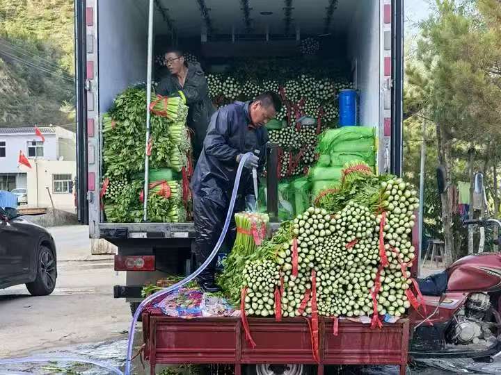 202510041759585829103461.jpg 27ad4d761fa59b4889f87d97fe93c940.jpg