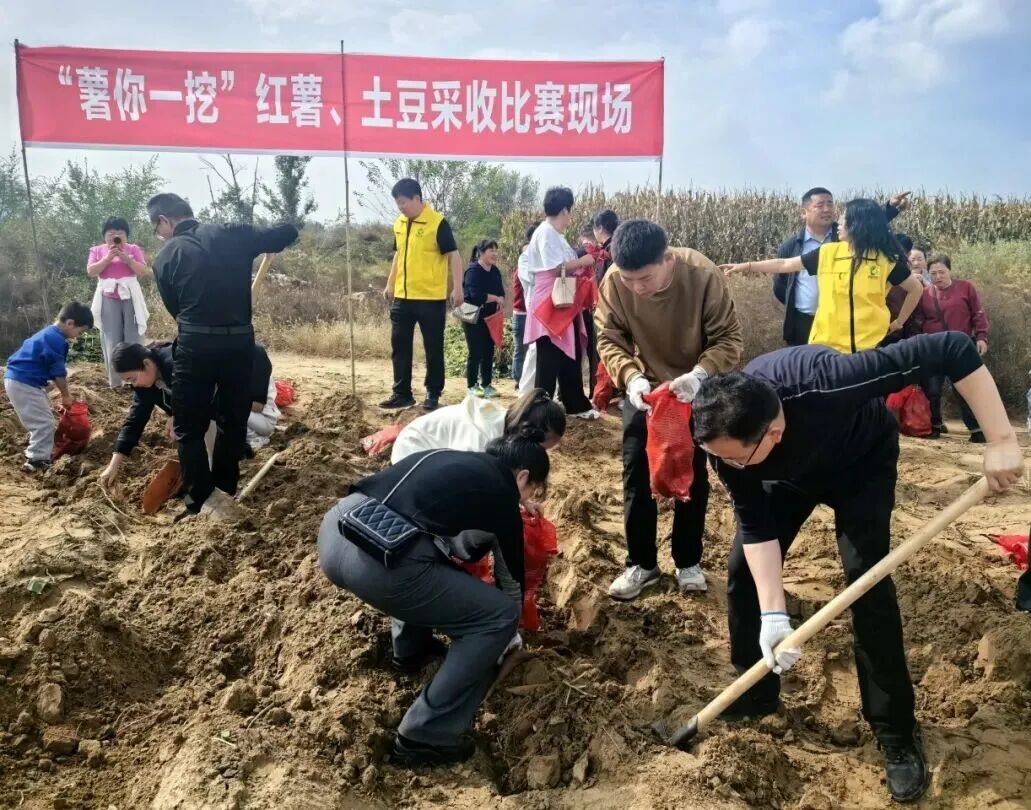 202510091759987526432942.jpg 2.jpg