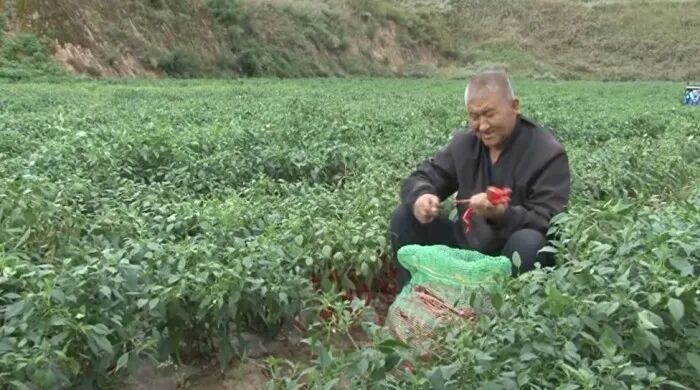 202510091759988028644486.jpg 3.jpg