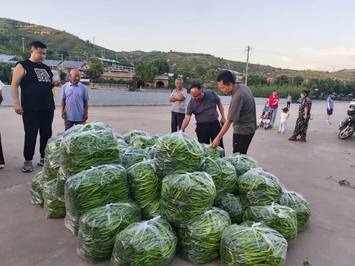 202510091759988052522190.jpg 4.jpg