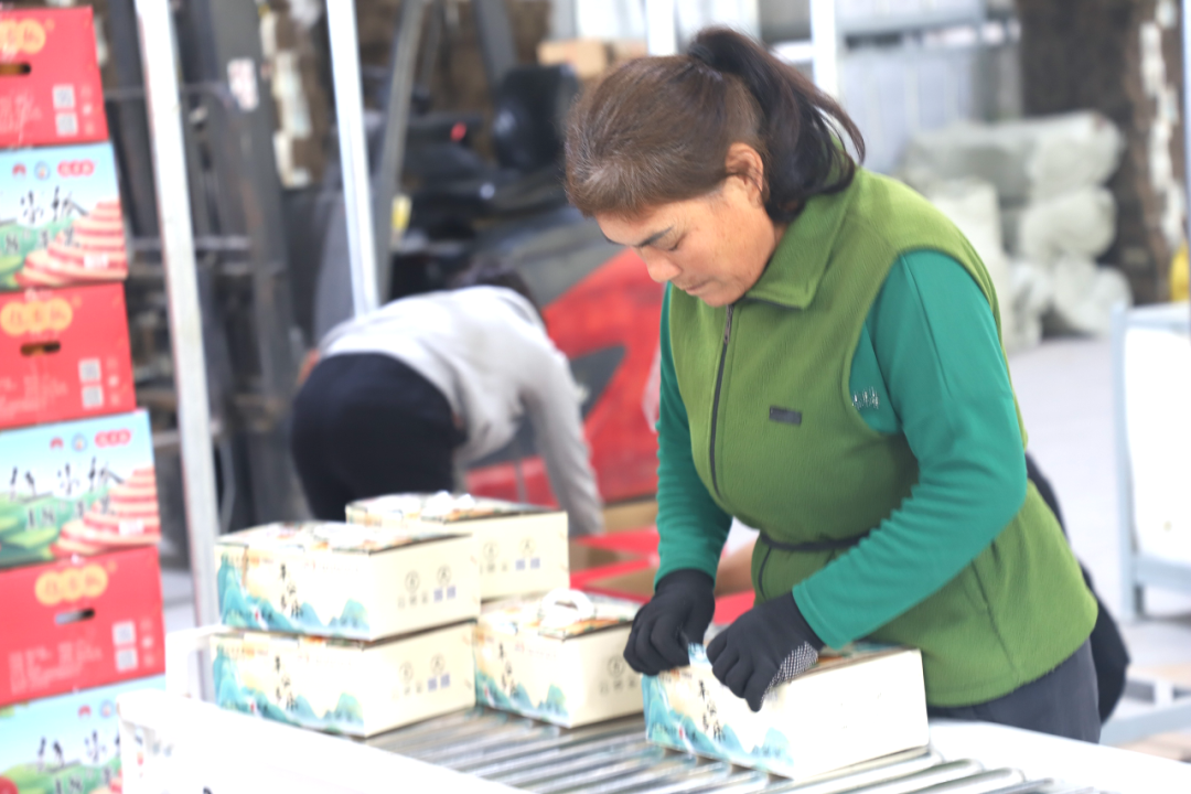 202510091759988322624864.png 3.png