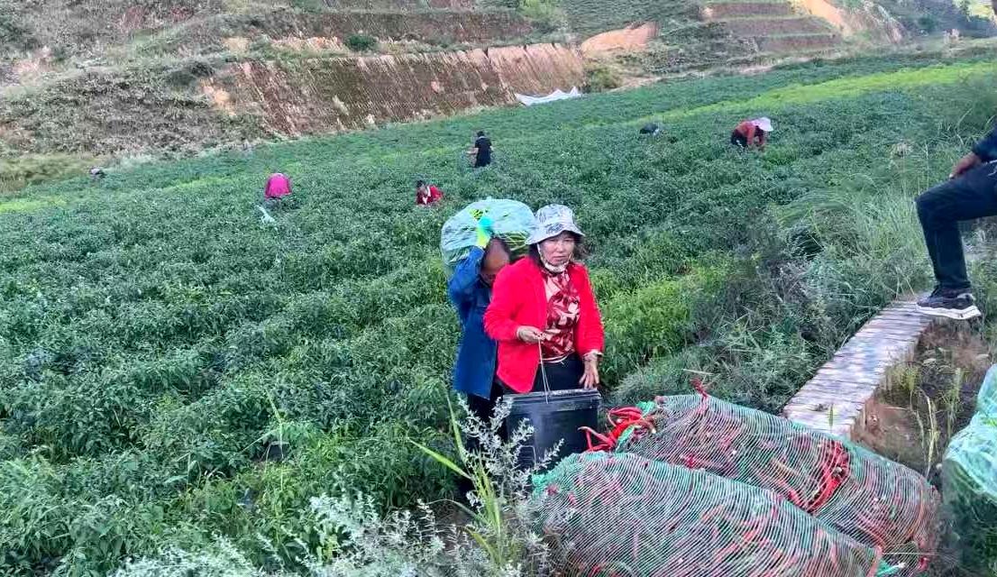 202510121760248046121909.jpg 15.jpg