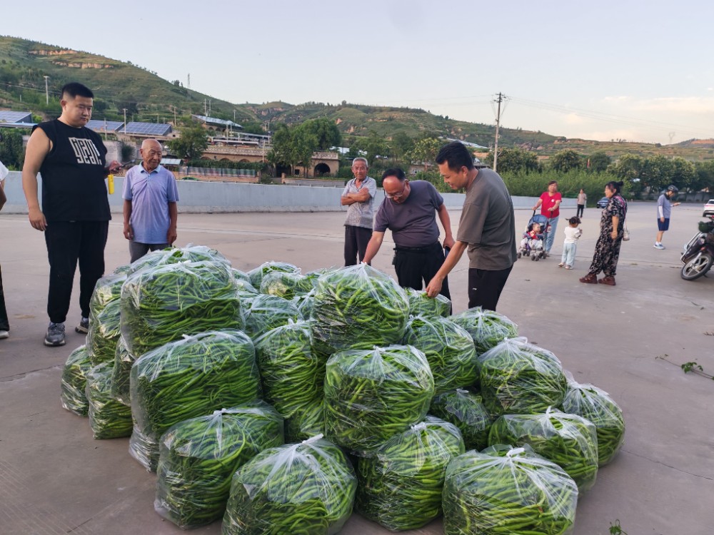 202510121760248069996573.jpg 11.jpg