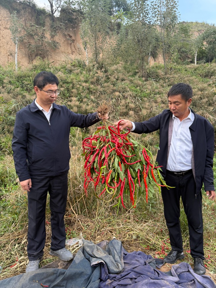 202510121760248098785459.jpg 13.jpg