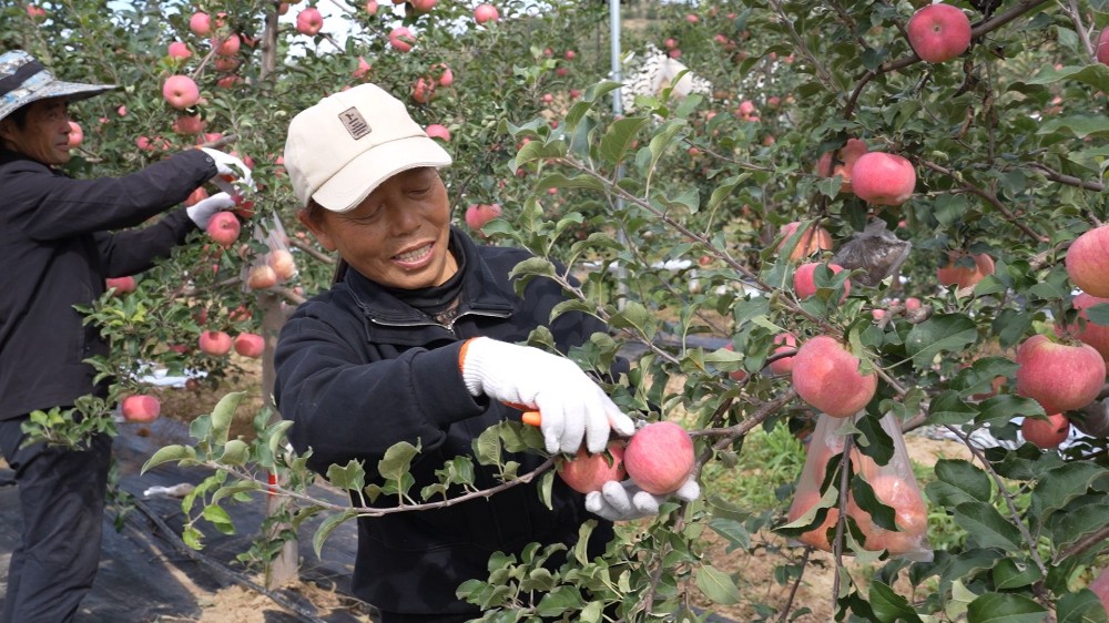 202510121760248362430446.jpg 11.jpg