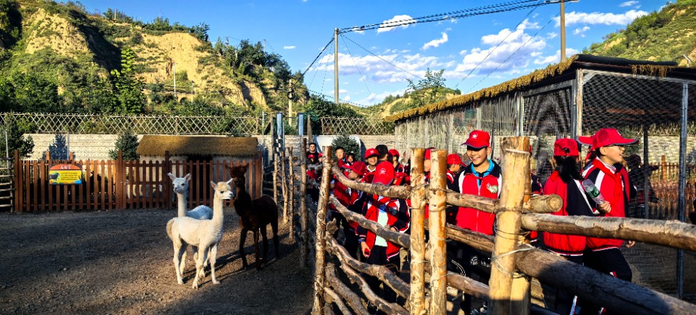 202510121760248473111861.jpg 13.jpg