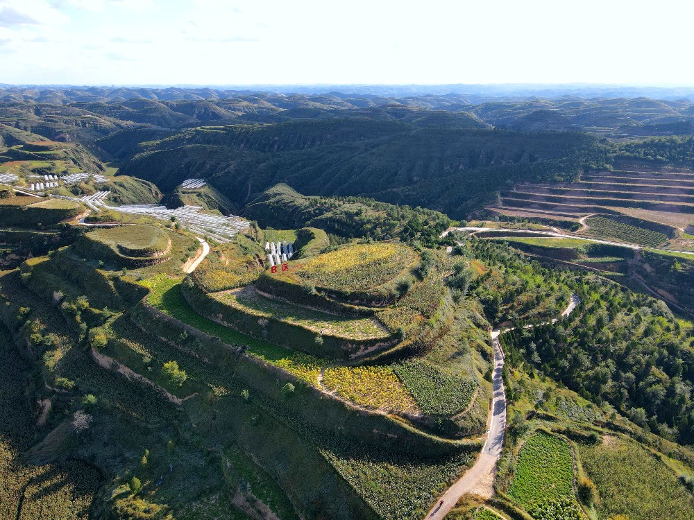 202510121760248594327600.jpg 17.jpg