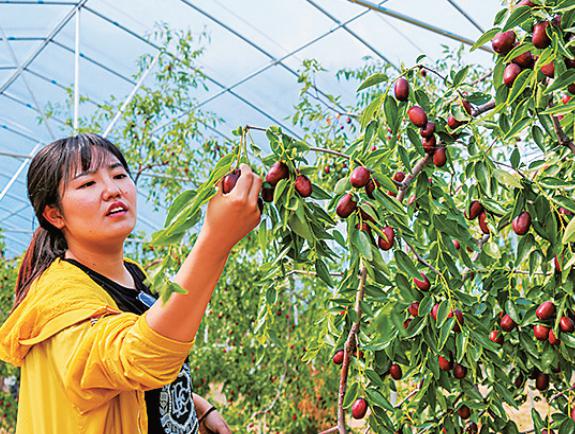 202510141760443980203110.jpg 11.jpg