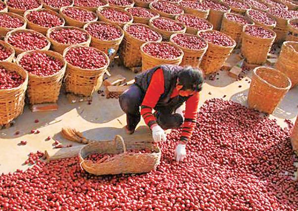 202510141760443999708303.jpg 12.jpg