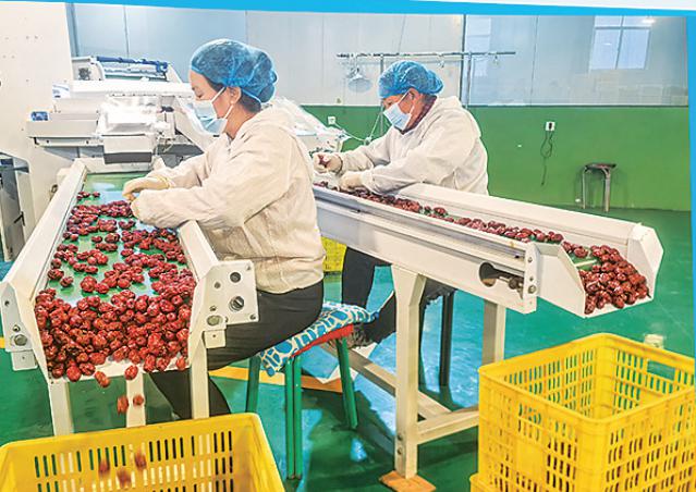 202510141760444018111934.jpg 13.jpg