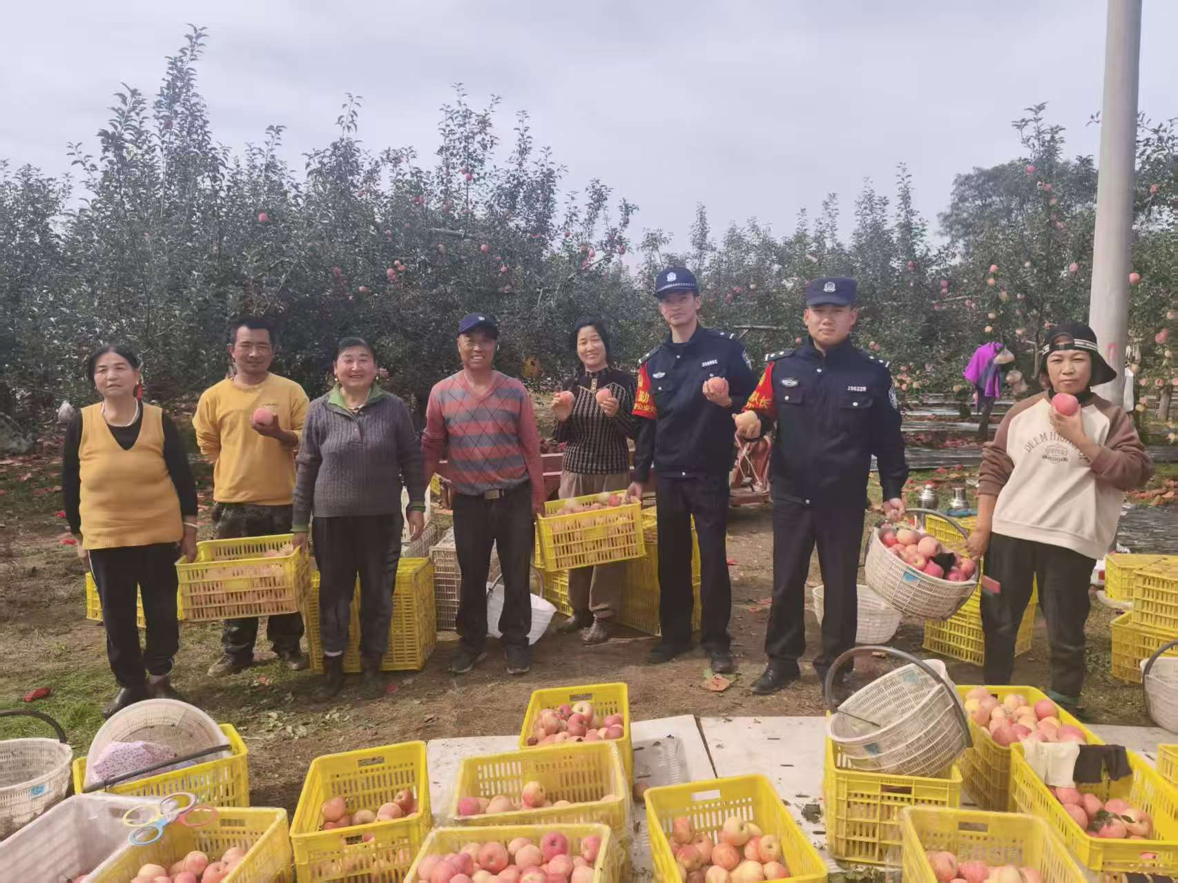 202510161760577698663980.png 图片2.png