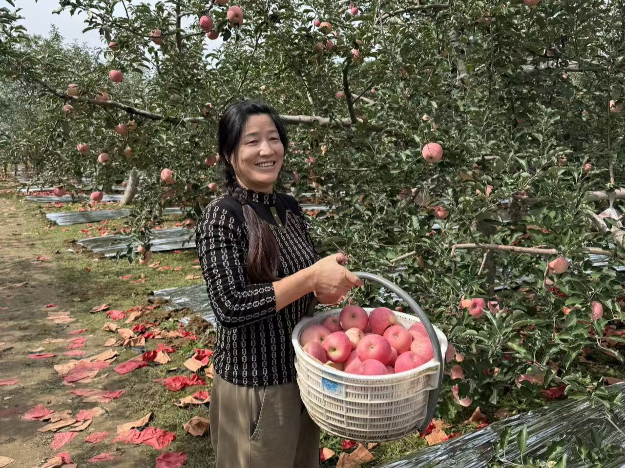 202510161760577747729819.png 图片6.png