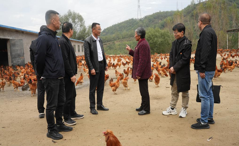 202510161760598756414482.png 12.png