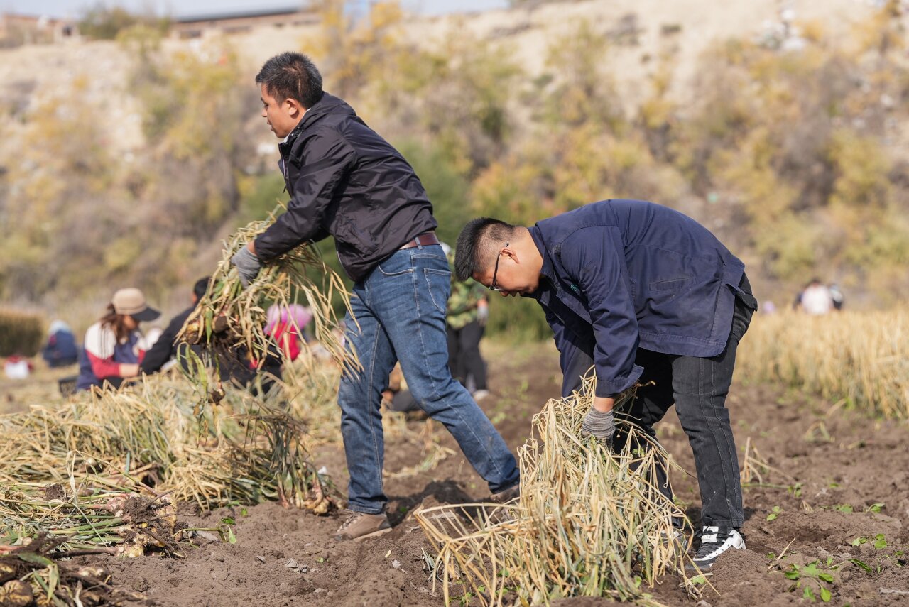 202510221761123025125997.jpeg 982505fd5aa93d74182e8931380af06a_W020251022434317652343.jpeg