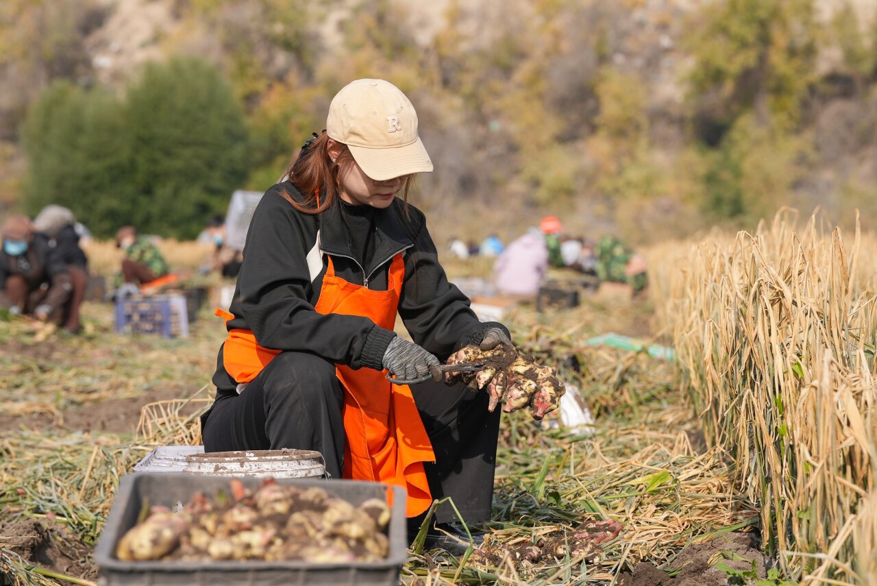 202510221761123083703569.jpeg 0e7f7e4c13abb96444c3c6f3e4d42250_W020251022434318258786.jpeg