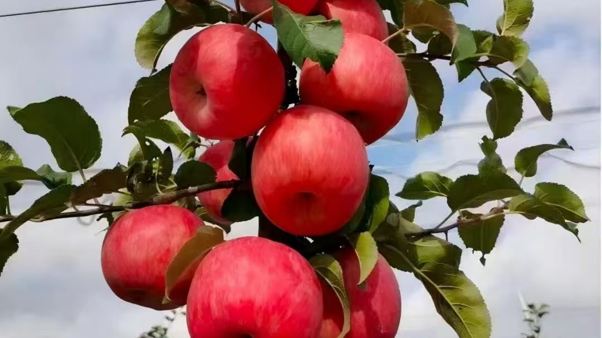 202510241761269485115208.jpg 微信图片_20251024092627_26_2.jpg