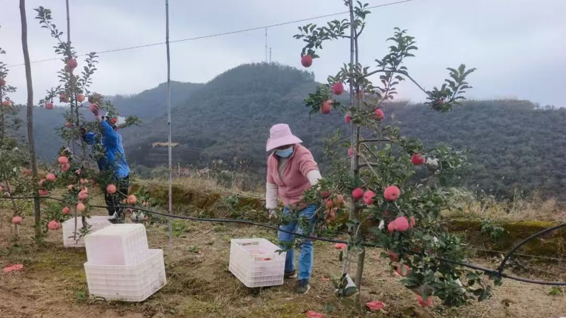 202510241761269508326137.jpg 微信图片_20251024092628_27_2.jpg