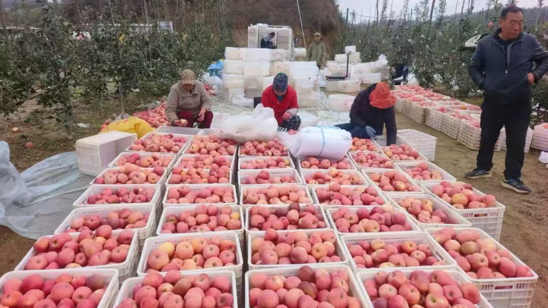 202510241761269534133368.jpg 微信图片_20251024092628_28_2.jpg