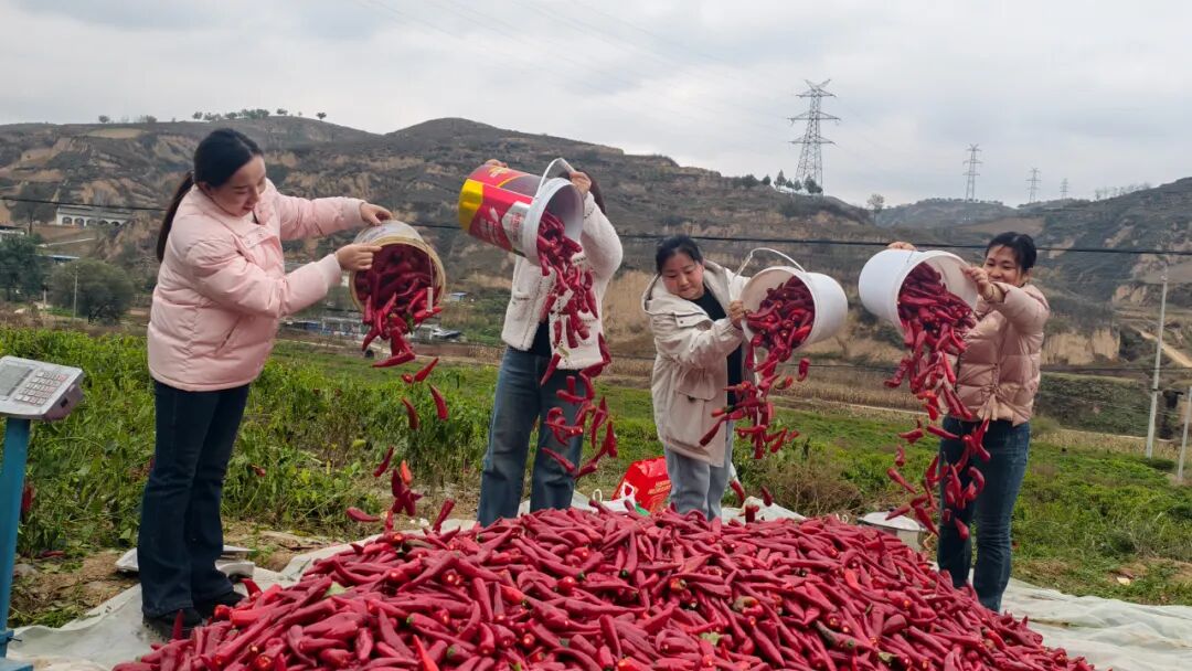 202510271761566182106606.jpg 111.jpg