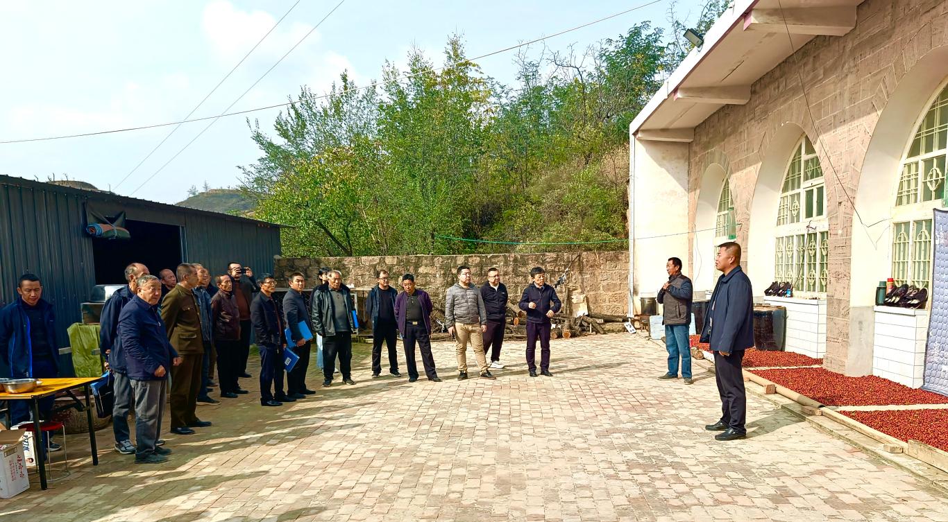 202511021762075804129422.jpg 11.JPG