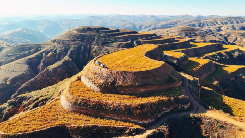 202511021762076553572753.png 3.png