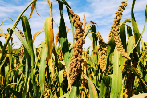 202511021762076576591256.png 4.png