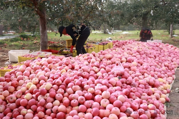 202511021762077182822767.jpg 2.jpg