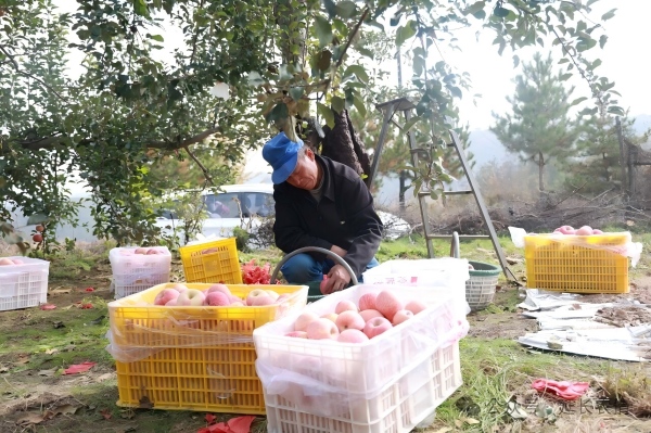 202511021762077209107803.jpg 4.jpg