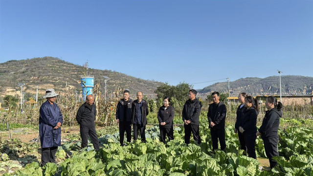 202511021762077420702622.jpg 2.jpg