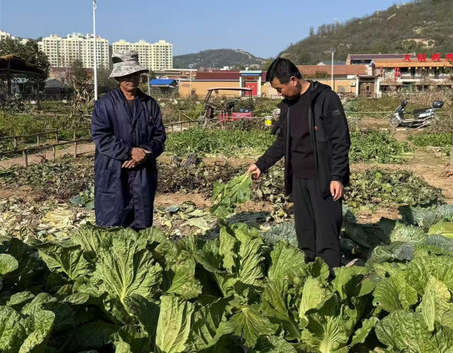 202511021762077437171008.jpg 3.jpg