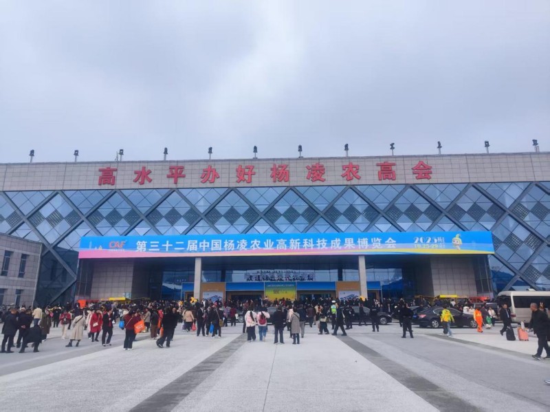 202511021762077656181249.jpg 2.jpg