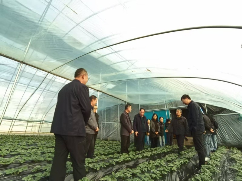 202511061762430990129108.jpg 3.jpg