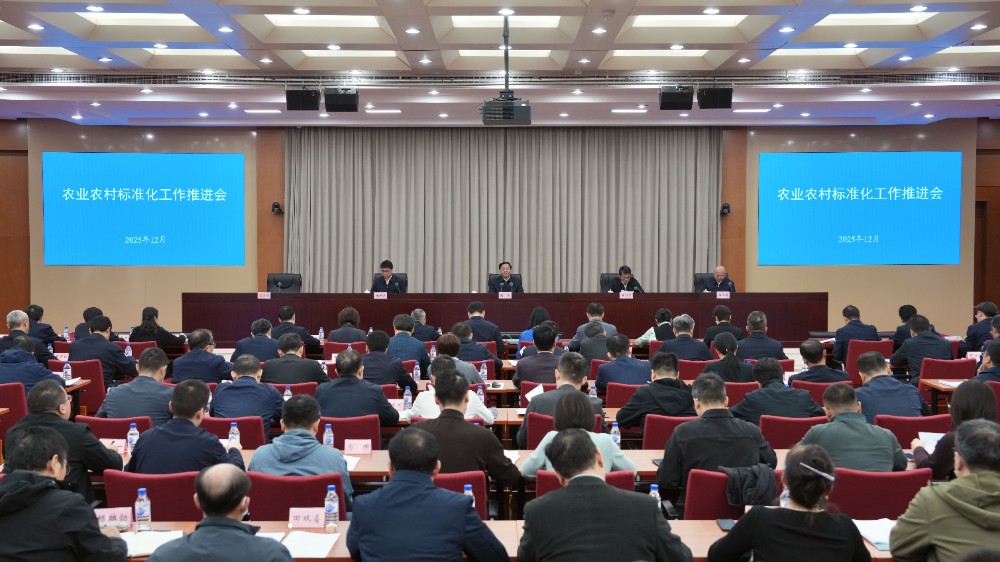 202512121765544065127533.jpg 11.jpg