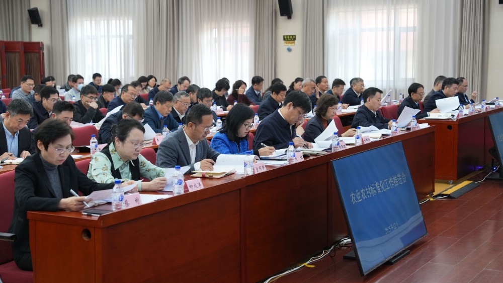 202512121765544084223550.jpg 12.jpg