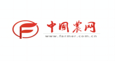 中国农网